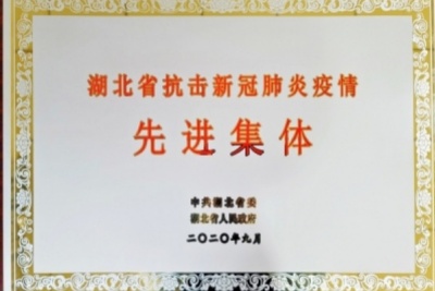 湖北省抗击新冠肺炎疫情先进集体3.jpg