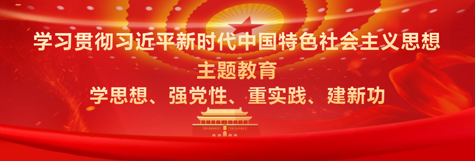 学习贯彻习近平新时代中国特色社会主义思想主题教育