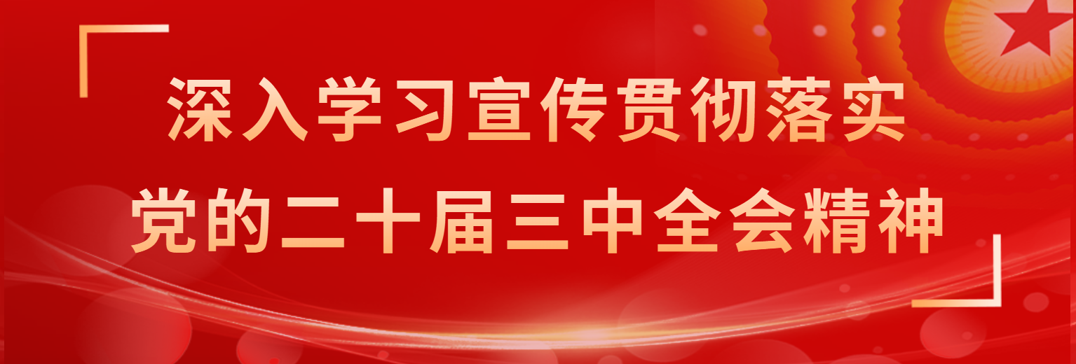 二十届三中全会